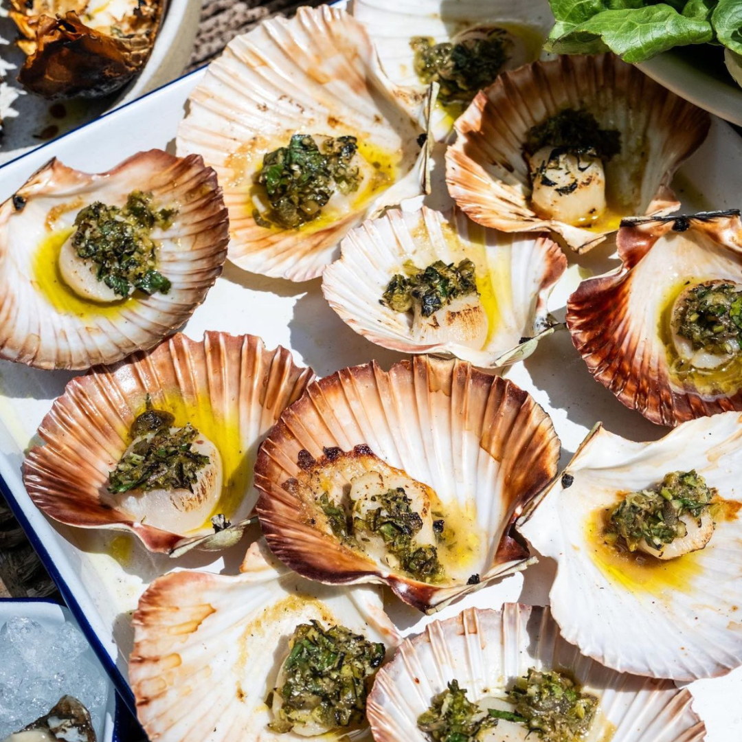 Scallops - Half Shell - 1 Dozen